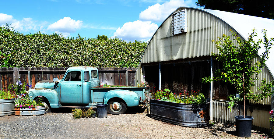 Planted Truck Bed Photograph by Holly Blunkall
