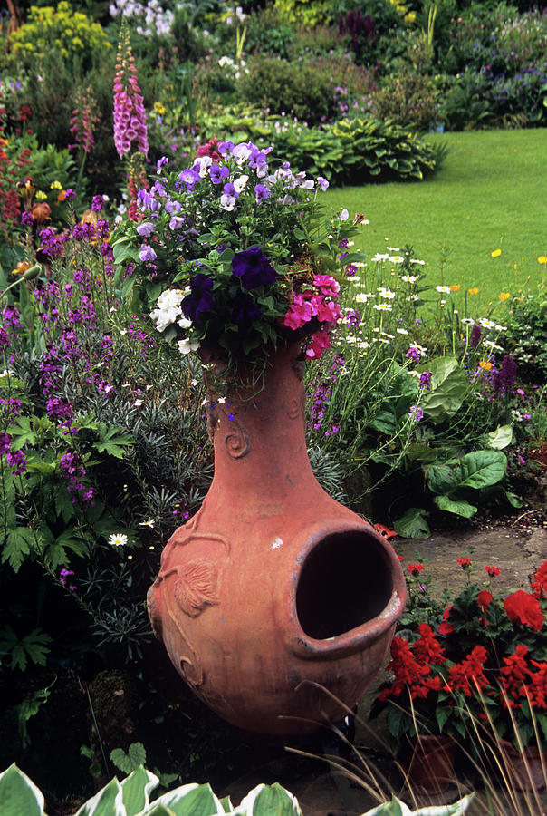 Planter Photograph by Adrian Thomas/science Photo Library