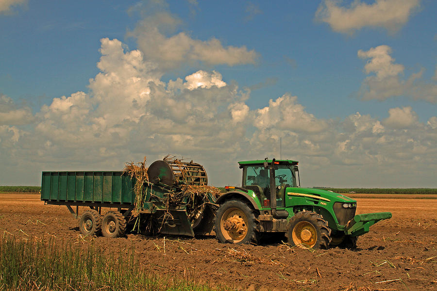 Planting Photograph - Planting Sugarcane in Louisiana mechanically by Ronald Olivier