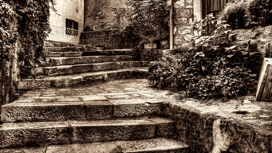 Plants grow in the Uneven Stairs Climbing towards the Tower Sepia Photograph by Weston Westmoreland