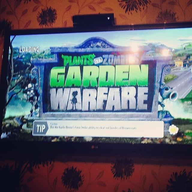 Plants Va Zombies Time :) Photograph by Barrie Gregson