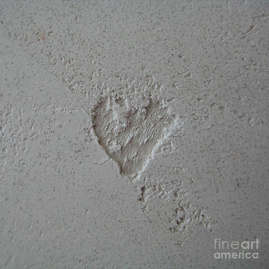 Heart Photograph - Plaster Heart by Jindra Noewi