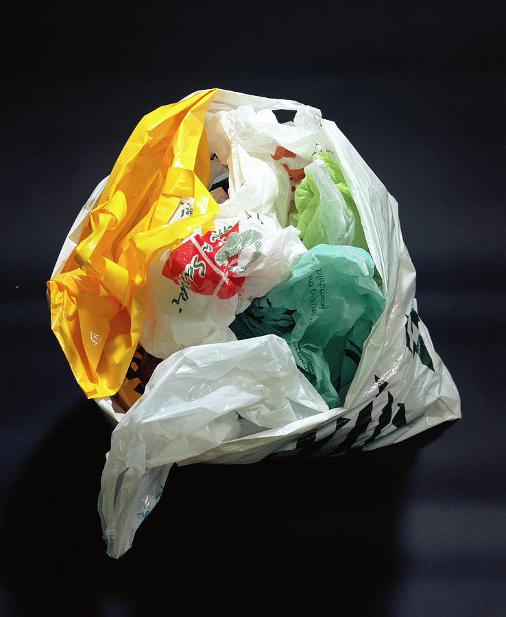 Plastic Bags Photograph by Sheila Terry/science Photo Library