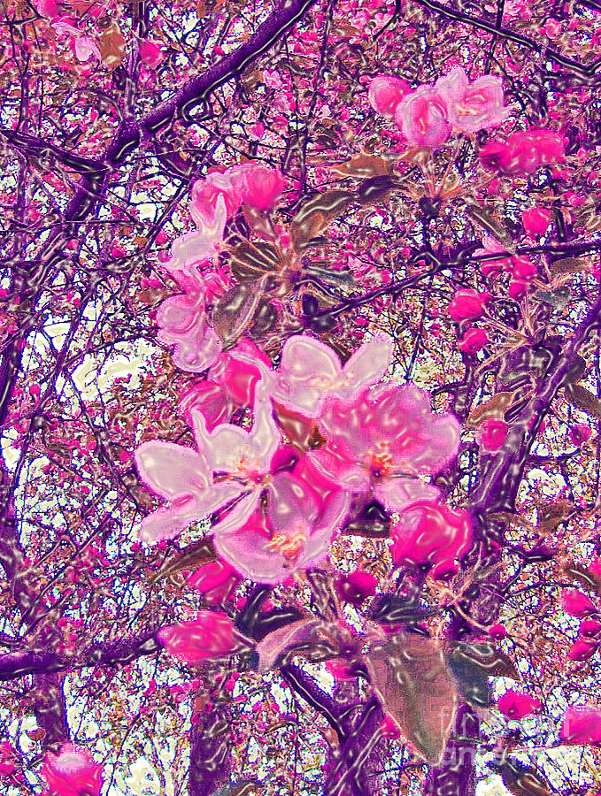 Plastic Wrapped Crabapple Blossom Photograph