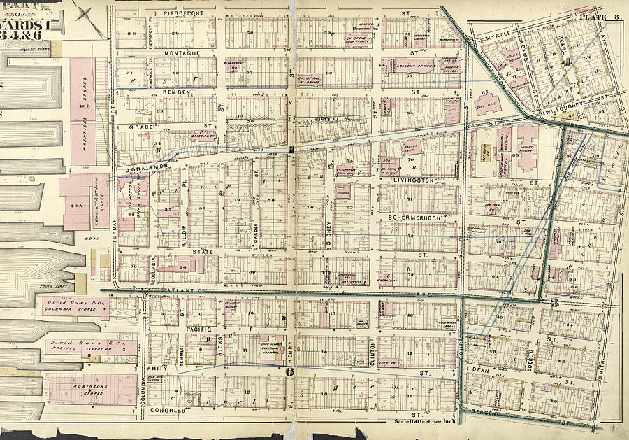 Plate 3 Part Of Wards 1, 3, 4 Drawing by Litz Collection - Pixels