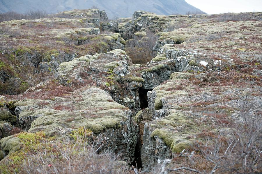 Thingvellir National Park Photograph - Plate Boundary by Dr P. Marazzi