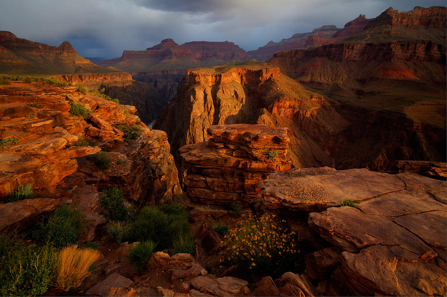 Plateau Point Photograph by Kiril Kirkov - Fine Art America