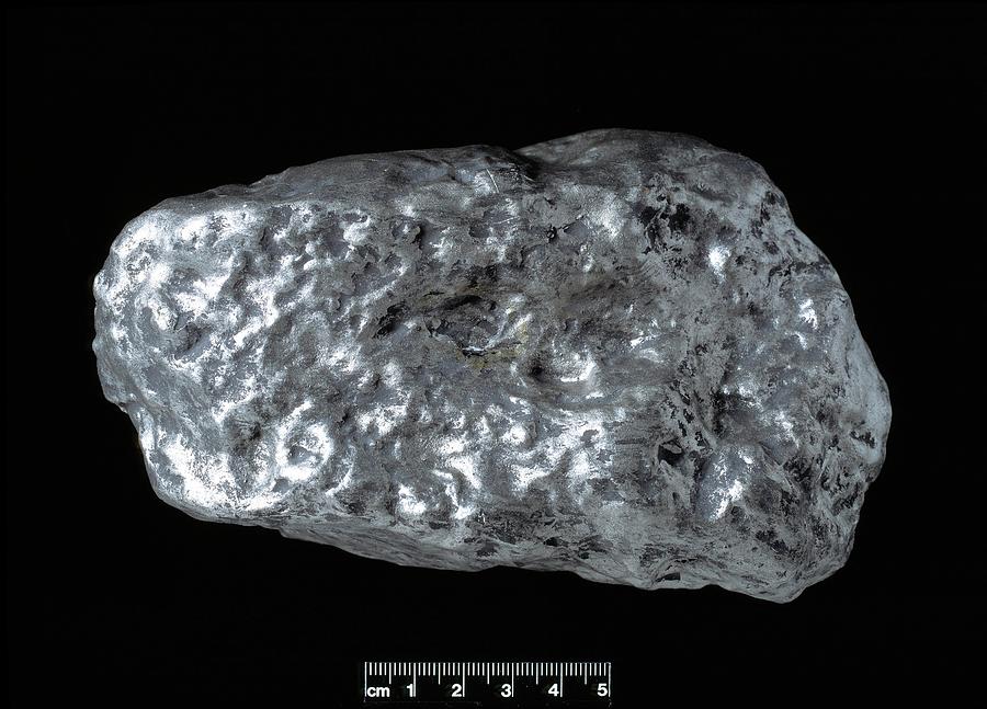 Platinum Nugget Photograph by Natural History Museum, London/science ...
