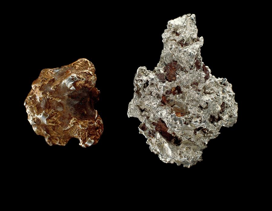 Platinum Nuggets Photograph by Natural History Museum, London/science ...