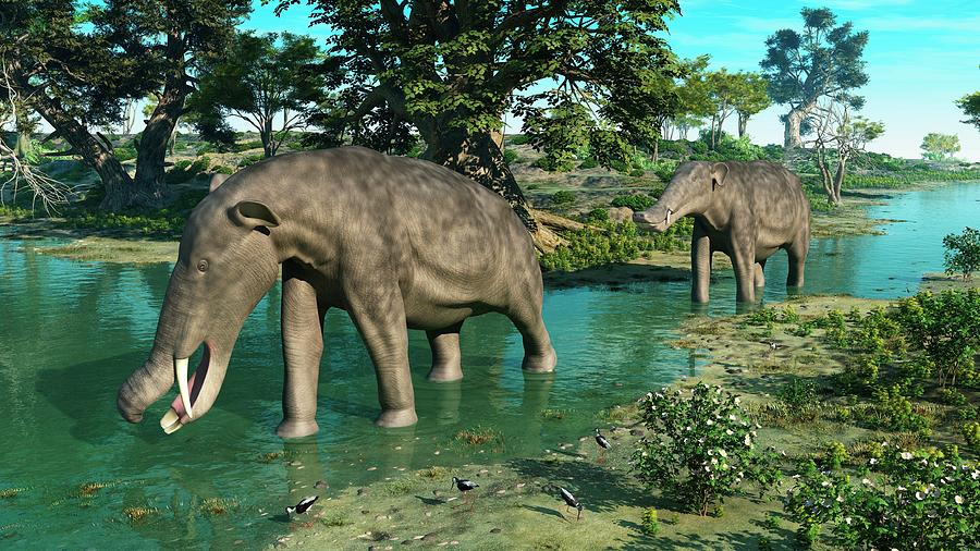 monsters of the past platybelodon