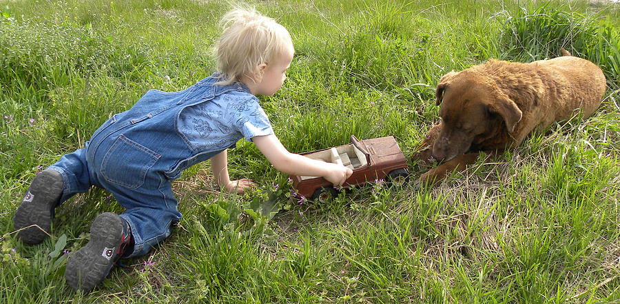 Play with Me Photograph by Sheri Lauren