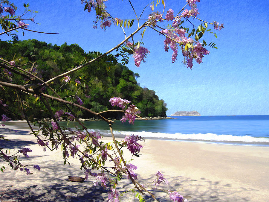 Flower Photograph - Playa Espadillia Sur Manuel Antonio National Park Costa Rica by Kurt Van Wagner