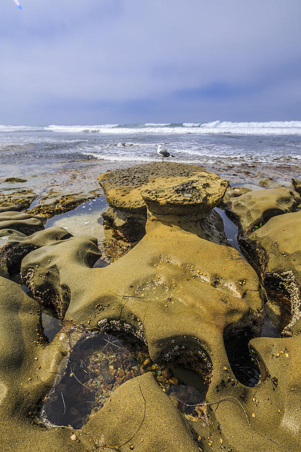 Playdough Rocks Photograph by Scott Campbell