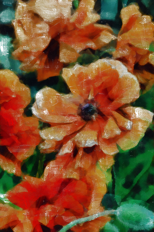 Playful Poppies 7 Mixed Media by Angelina Tamez