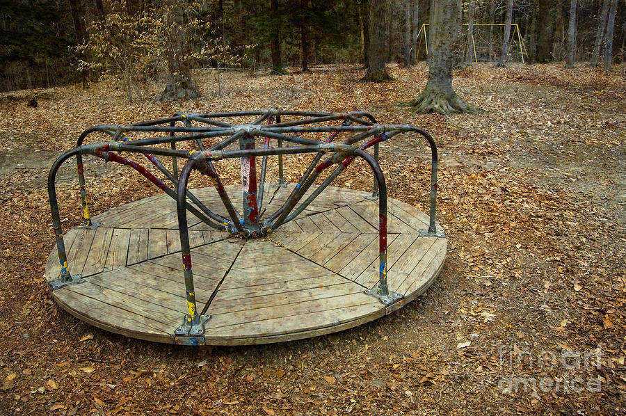 Playground in the Woods Photograph by Tom Brickhouse
