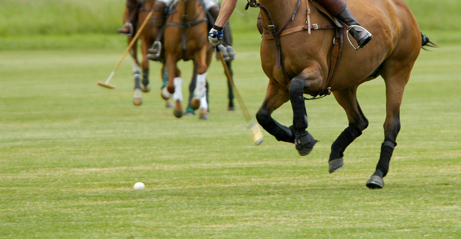 Playing polo Photograph by KellyJHall
