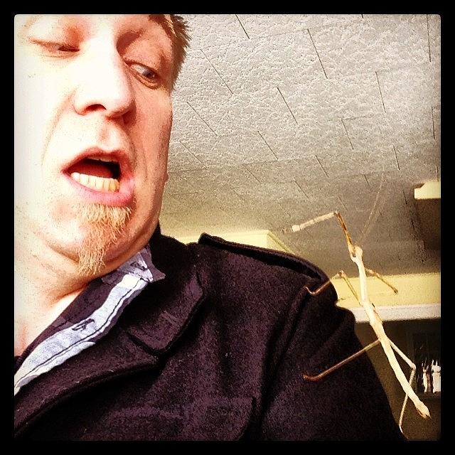 Alien Photograph - Playing With A Red Winged Stick Insect by Craig Kempf