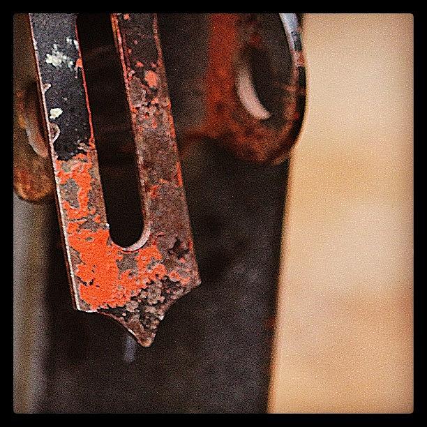 Chipped Photograph - Playing With #macro At The #gate by Deana Graham