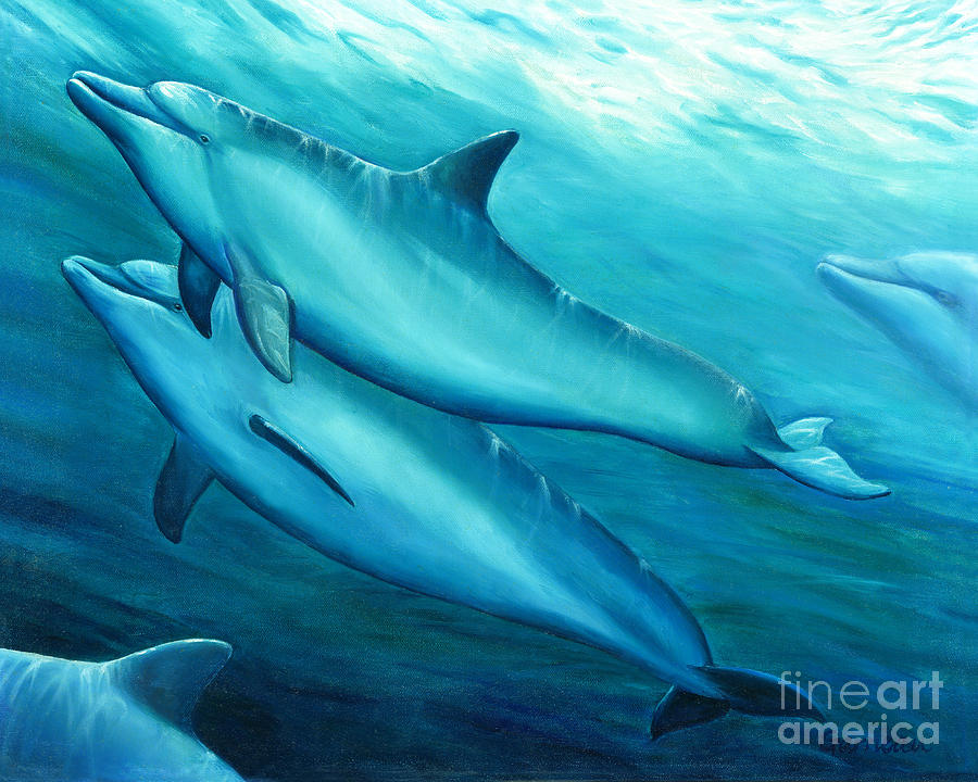 Dolphin Painting - Playtime by Catherine Garneau