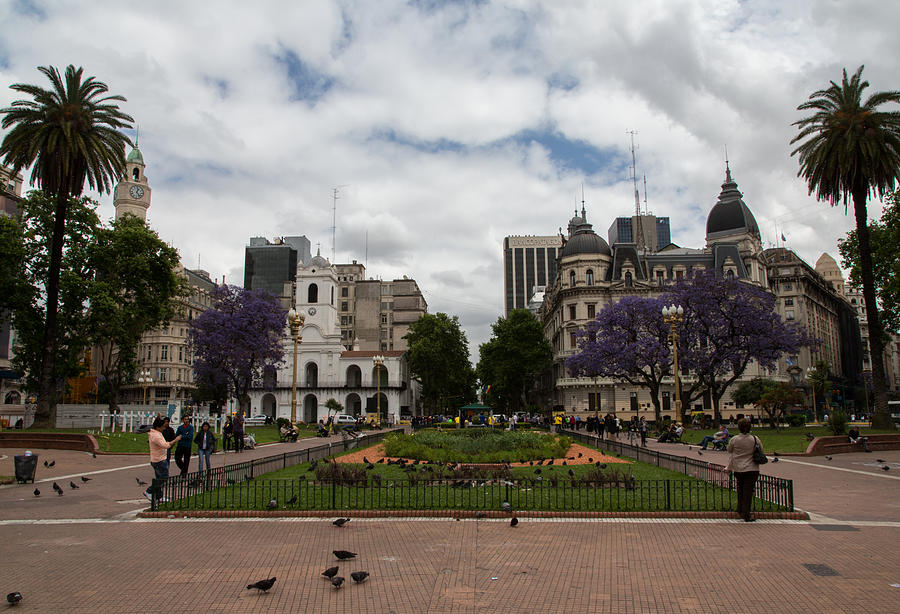 Plaza de Mayo  Photograph by John Daly