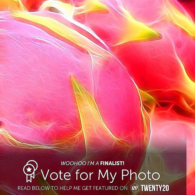 Please Help Me Win The Pink Challenge Photograph by Kathleen Messmer