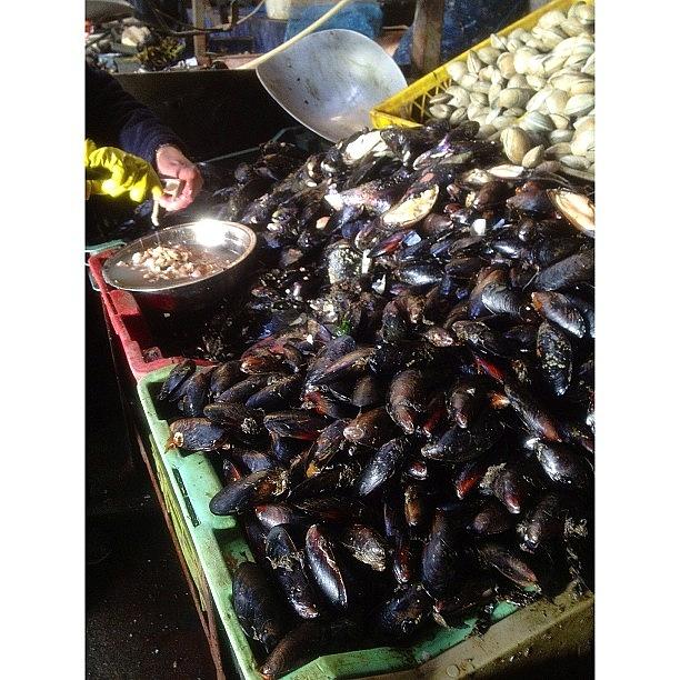 Plenty Of Mussels Down Here! At The Photograph by Daniel Rodriguez