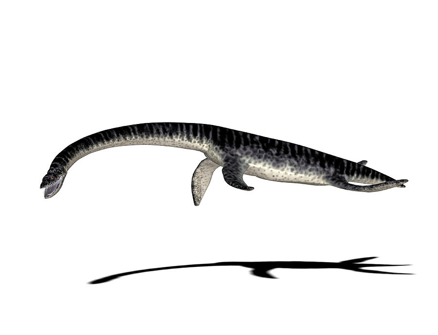 plesiosaurus dino dan