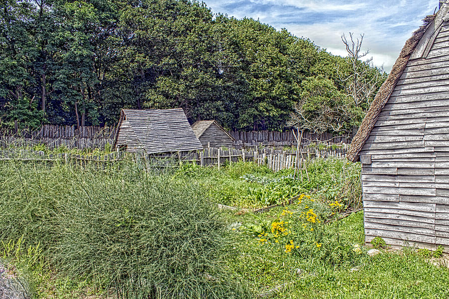 Plimoth Plantation Back Yard Garden Photograph by Constantine Gregory