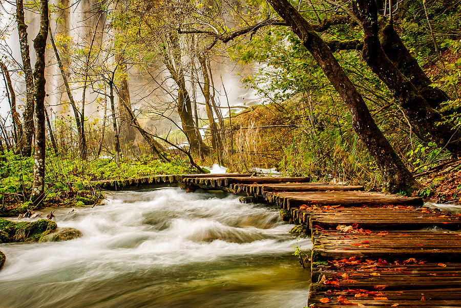 Plitvice Lakes Path Photograph