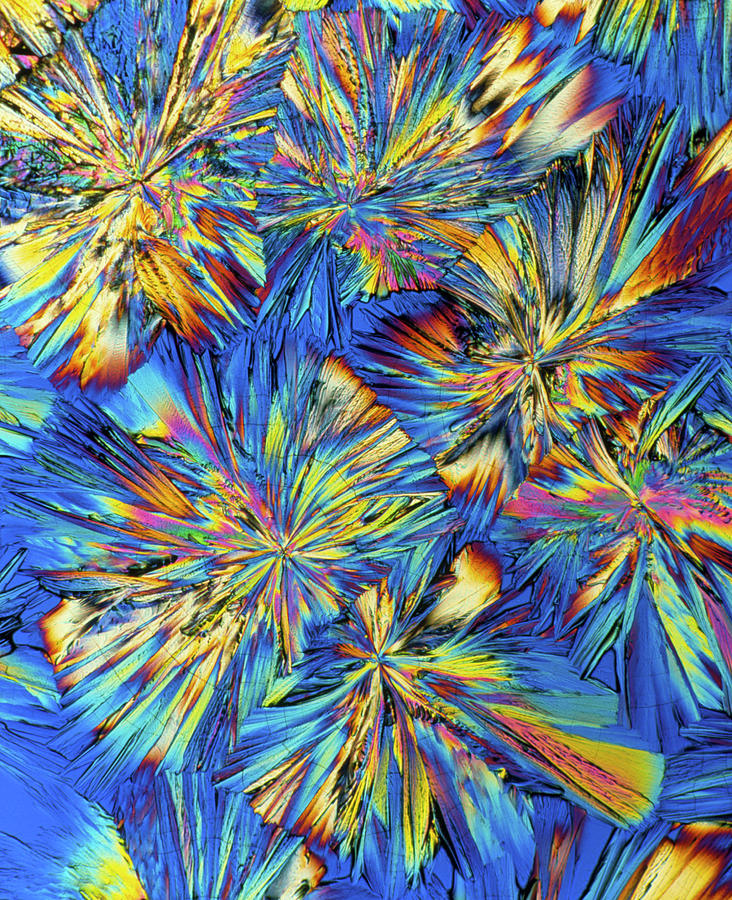 Adrenaline Photograph - Plm Of Crystals Of The Hormone Adrenaline by Alfred Pasieka/science Photo Library