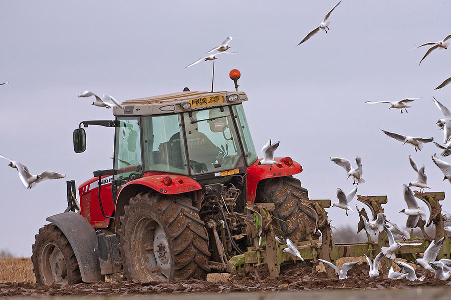 Plough time on the farm. Photograph by Paul Scoullar