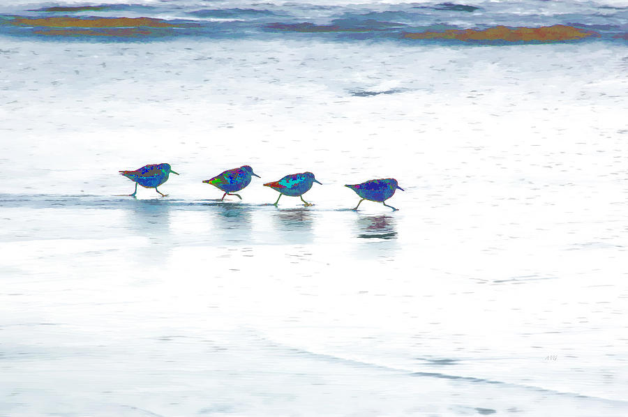 Plovers in a Row Photograph by Allan Van Gasbeck