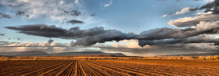 Plowed field near Lovell Wyoming, USA,  early morning. Photograph by Mick Flynn