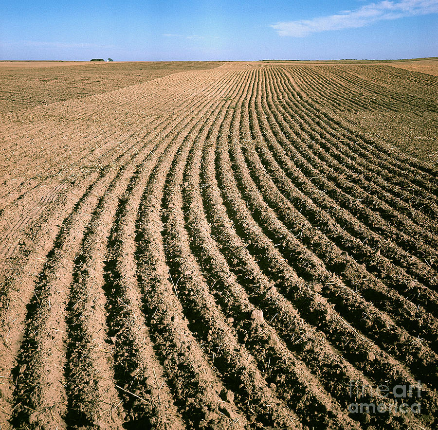 Plowed Field Photograph by Van D. Bucher