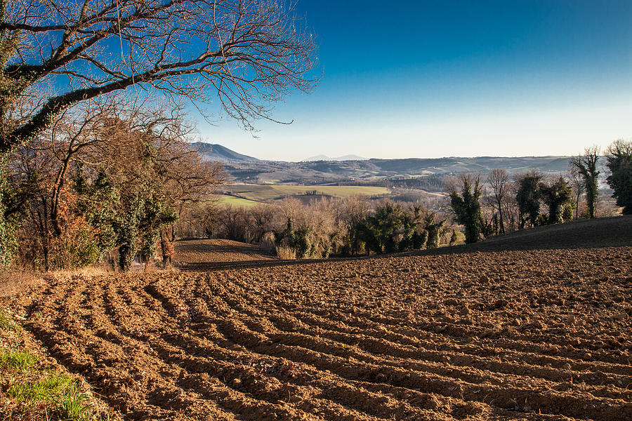 Plowed Italian Field Photograph by W Chris Fooshee