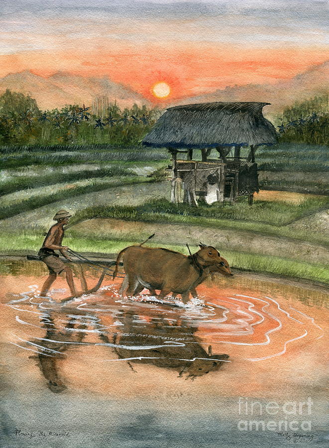 Nature Painting - Plowing The Ricefield by Melly Terpening