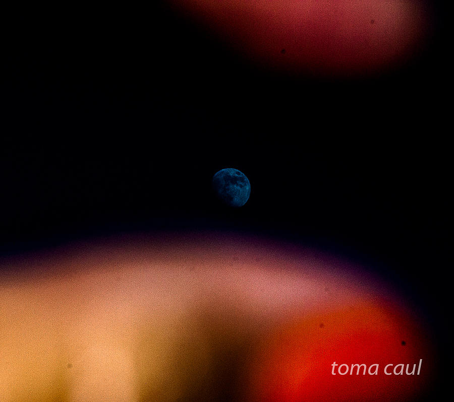 Pluck the Moon from the Sky Photograph by Toma Caul