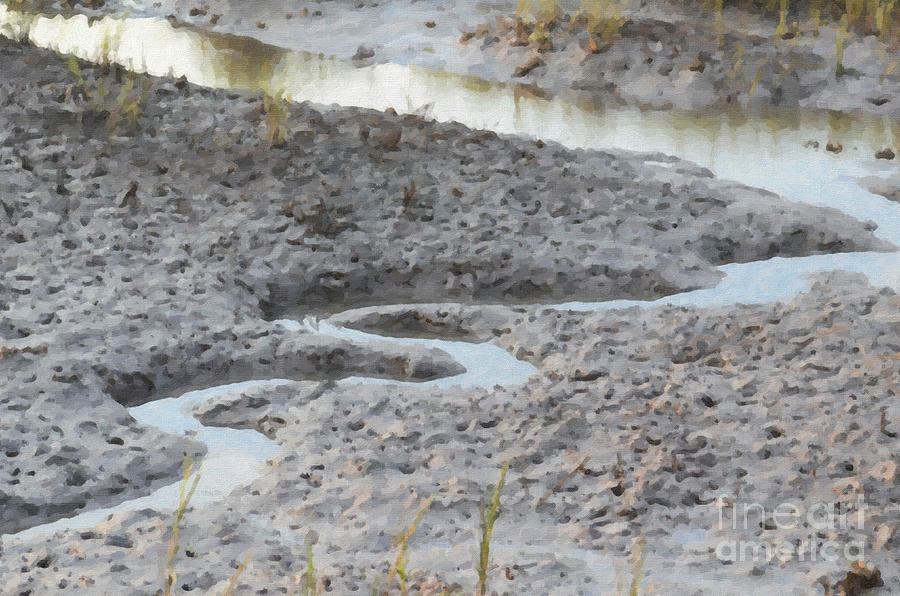 Pluff Mud River Photograph