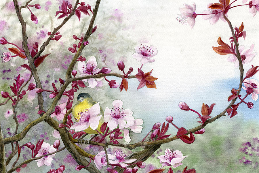 Flower Painting - Plum Blossoms by Karen Wright