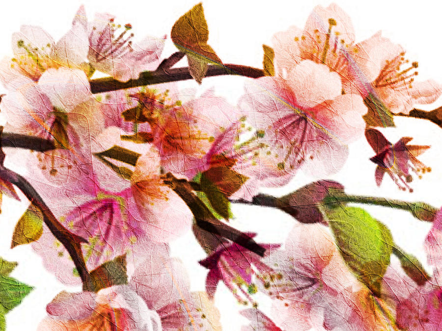 Plum Blossoms Digital Art by Kiki Art
