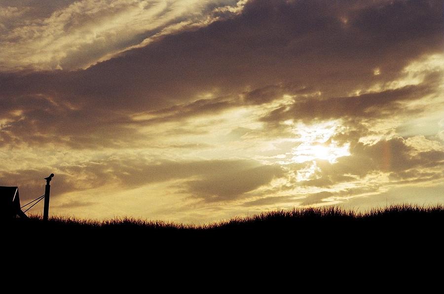 Sunset Photograph - Plum Eve by Dozel Lake