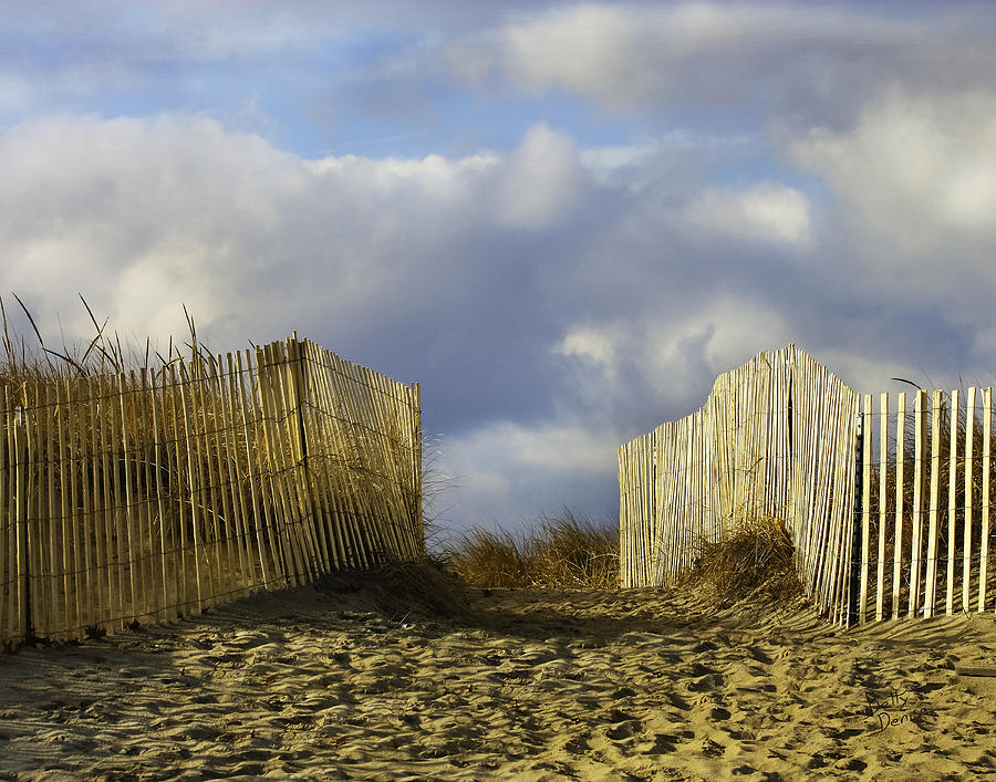 Beach Photograph - Plum Island Fence by Betty Denise
