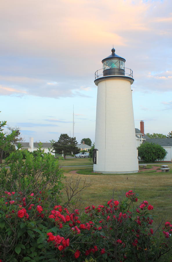 Plum Island Lighthouse Sunset Flowers Photograph by John Burk