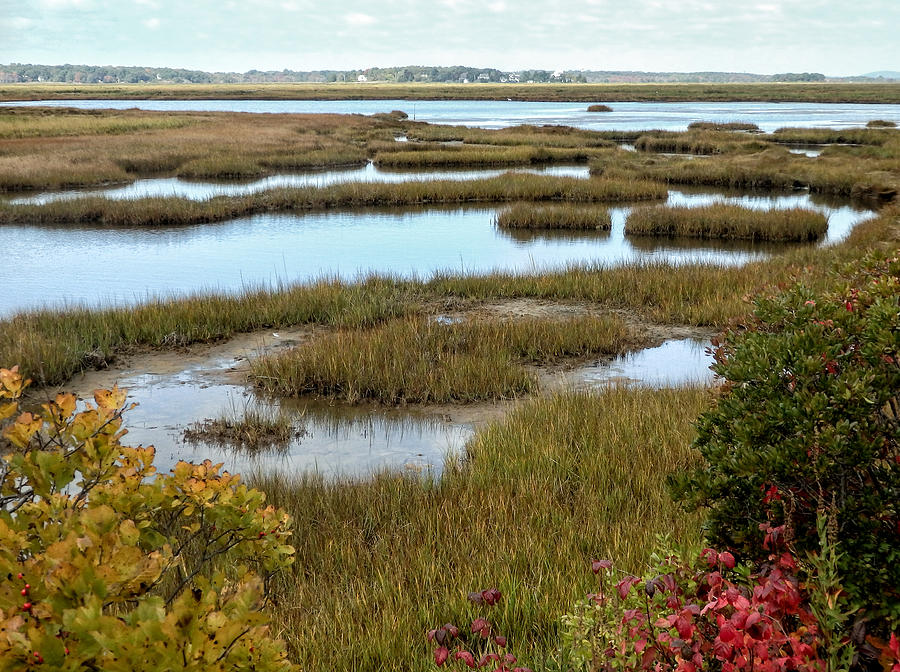 Plum Island Marshes in Autumn 2 Photograph by Nancy De Flon