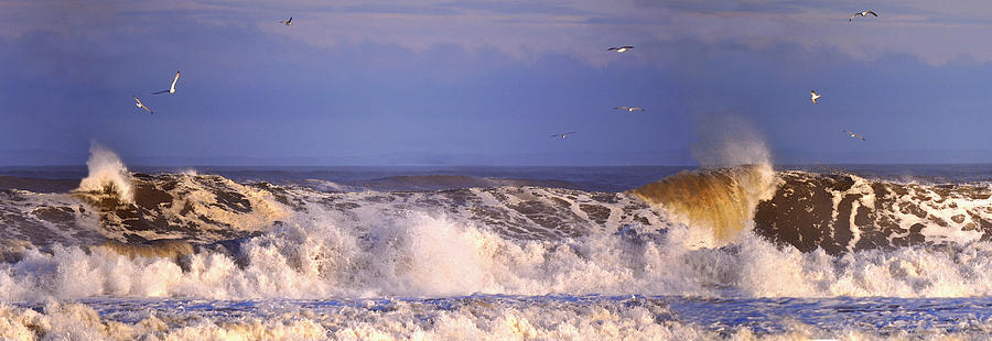 Seagull Mixed Media - Plum Island Waves by John Brown