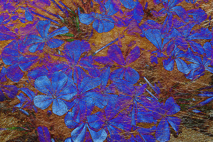 Plumbago And Gold Leaf Abstract Photograph by Phyllis Denton
