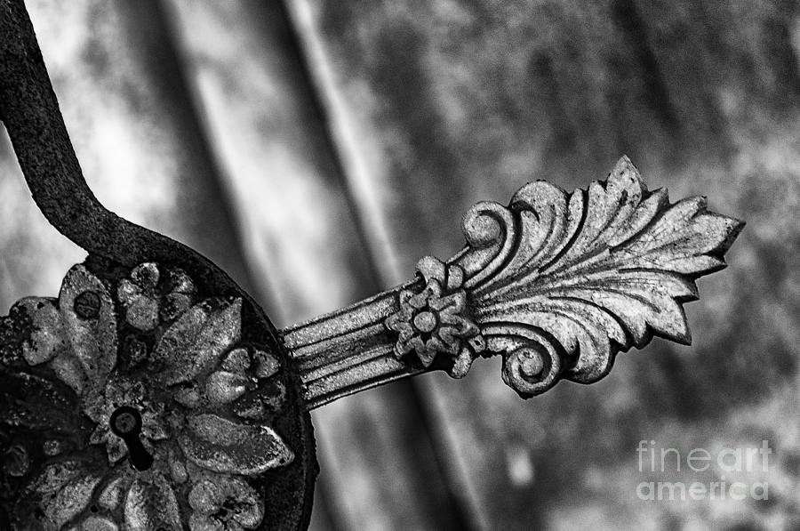Plume and Rosette Cast Iron - Monochrome Photograph by Kathleen K Parker