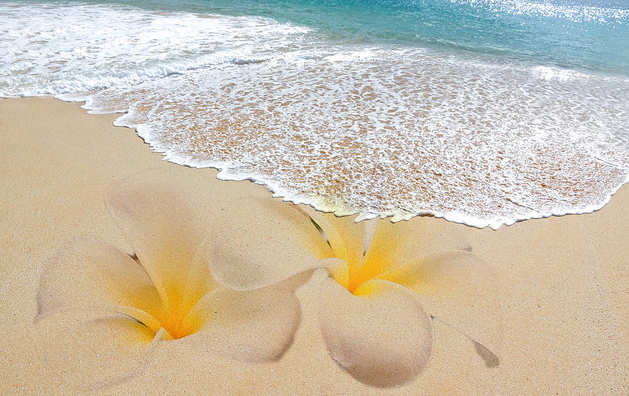 Flower Photograph - Plumeria Beach by Athena Mckinzie
