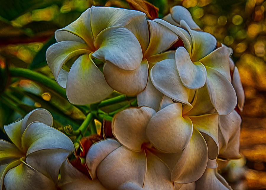 Plumeria Bunch Painting by Omaste Witkowski