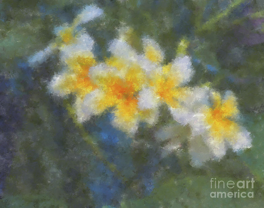 Plumeria Impressions Digital Art by L J Oakes